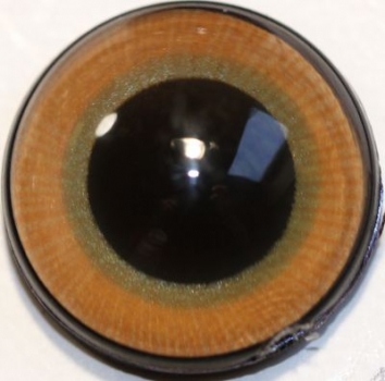 1 Paar Sicherheitsaugen mittelgroße runde Pupillen braungrau schimmernd verschiedenfarbige Iris
