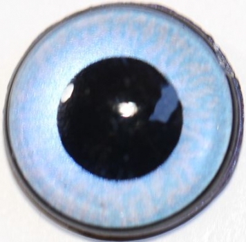1 Paar Sicherheitsaugen mittelgroße runde Pupillen zartblau schimmernd verschiedenfarbige Iris