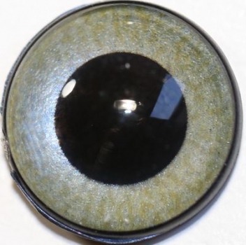 1 Paar Sicherheitsaugen mittelgroße runde Pupillen grünblau schimmernd verschiedenfarbige Iris