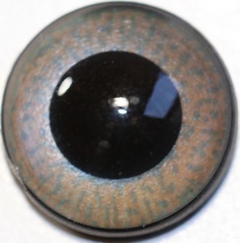 1 Paar Sicherheitsaugen mittelgroße runde Pupillen aubergine schimmernd verschiedenfarbige Iris