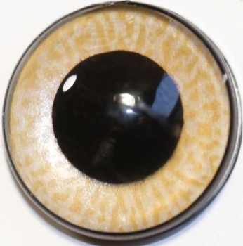 1 Paar Sicherheitsaugen mittelgroße runde Pupillen zartbeige schimmernd verschiedenfarbige Iris