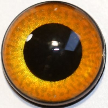 1 Paar Sicherheitsaugen mittelgroße runde Pupillen kupfergold schimmernd verschiedenfarbige Iris