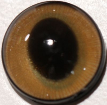 1 Paar Sicherheitsaugen ovale Pupillen braun schimmernd verschiedenfarbige Iris
