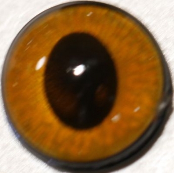 1 Paar Sicherheitsaugen ovale Pupillen kupfer schimmernd verschiedenfarbige Iris