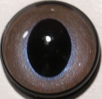 1 Paar Sicherheitsaugen ovale Pupillen aubergine schimmernd verschiedenfarbige Iris