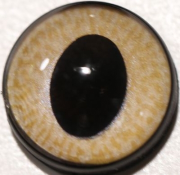 1 Paar Sicherheitsaugen ovale Pupillen zartbeige schimmernd verschiedenfarbige Iris