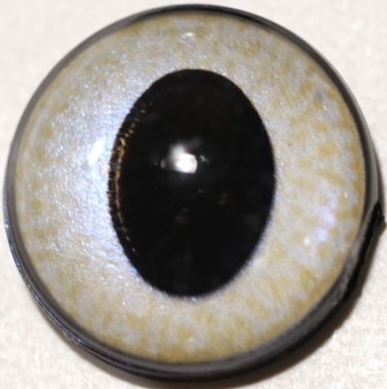 1 Paar Sicherheitsaugen ovale Pupillen perlmuttbeige schimmernd verschiedenfarbige Iris