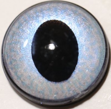1 Paar Sicherheitsaugen ovale Pupillen blassblau schimmernd verschiedenfarbige Iris