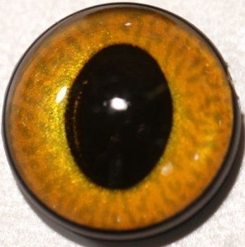 1 Paar Sicherheitsaugen ovale Pupillen kupfergold schimmernd verschiedenfarbige Iris