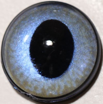 1 Paar Sicherheitsaugen ovale Pupillen blaugrau schimmernd verschiedenfarbige Iris