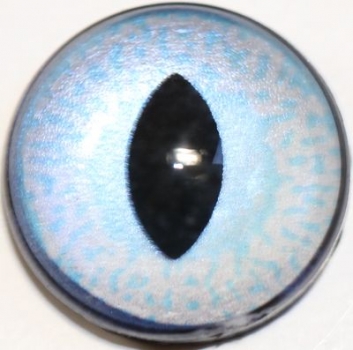 1 Paar Sicherheitsaugen mittlere geschlitzte Pupillen blassblau schimmernd verschiedenfarbige Iris